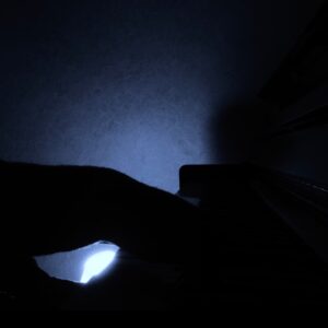 KAIJIN Recital - The Ego Sleeping in Ice - Cover Art